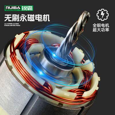 锐霸6V无刷21561大扭1力手电钻DB16T家充电式小钢炮小型用丝电动