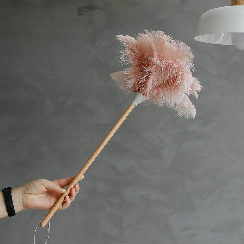 肉粉鸵鸟810羽毛除尘静电毛吸家灰鸡掸子用掸扫灰装饰掸长木柄掸,家庭/个人清洁工具,一次性抹布,淘宝优惠券,粉丝福利购,淘宝优惠卷