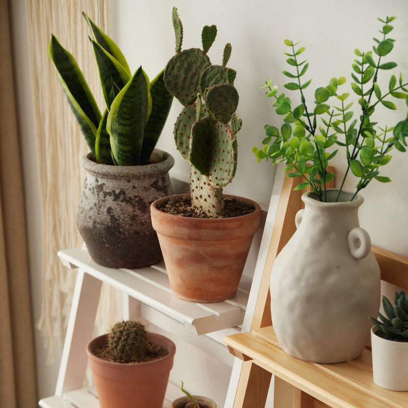 多层花盆架实木落地绿植花卉架子室内阳台客厅置物架梯形花架子