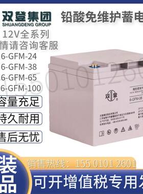 双登6-GFM-38阀控式铅酸免维护蓄电瓶12V38AH65AH100AH储能大容量