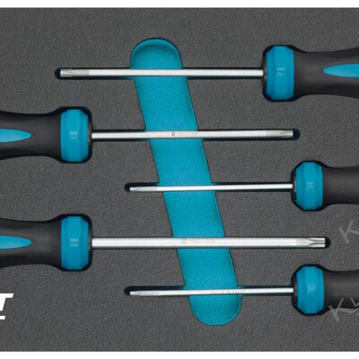 德国HAZET 163-185/5 星形螺丝刀5件套 进口高端汽修汽保工具