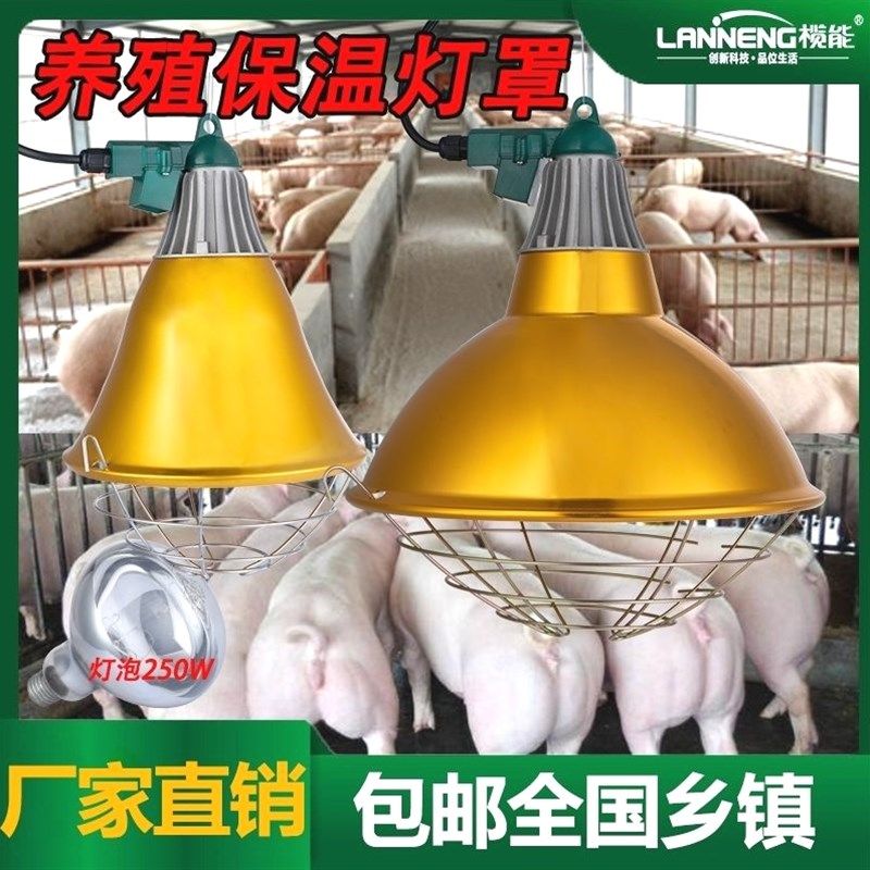 德国品质养殖专用加厚保温灯罩金属防水取暖聚光灯仔猪宠物可调加,玩具/童车/益智/积木/模型,毛绒/玩偶/公仔/布艺类玩具,淘宝优惠券,粉丝福利购,淘宝优惠卷