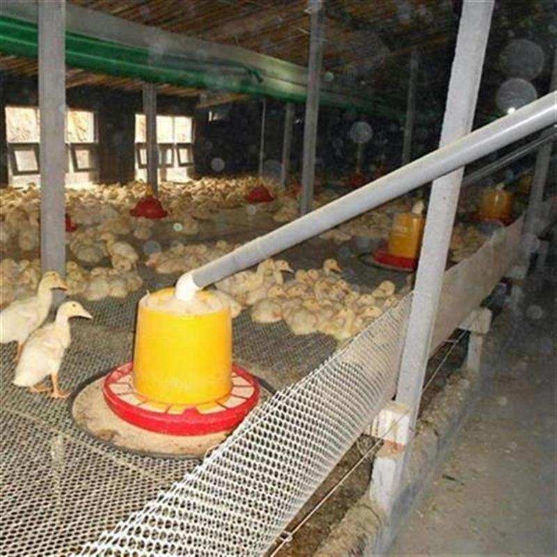 鸡用线管自动化下料器全w自动上料F机养殖场传送育肥X猪喂料育