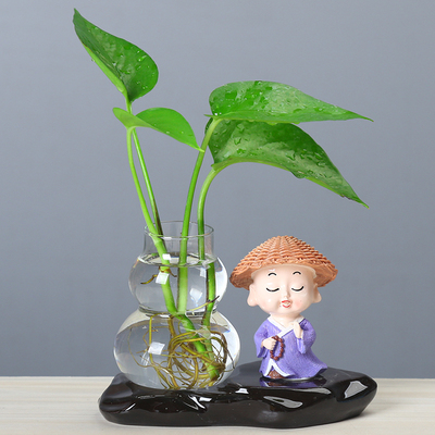 创意绿萝水培花瓶玻璃透明水养植物花盆容器禅意器皿桌面摆件