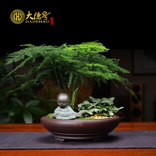 菖蒲文竹紫砂花盆多肉植物肉盆栽陶瓷圆形大口径铜钱草水仙水培盆