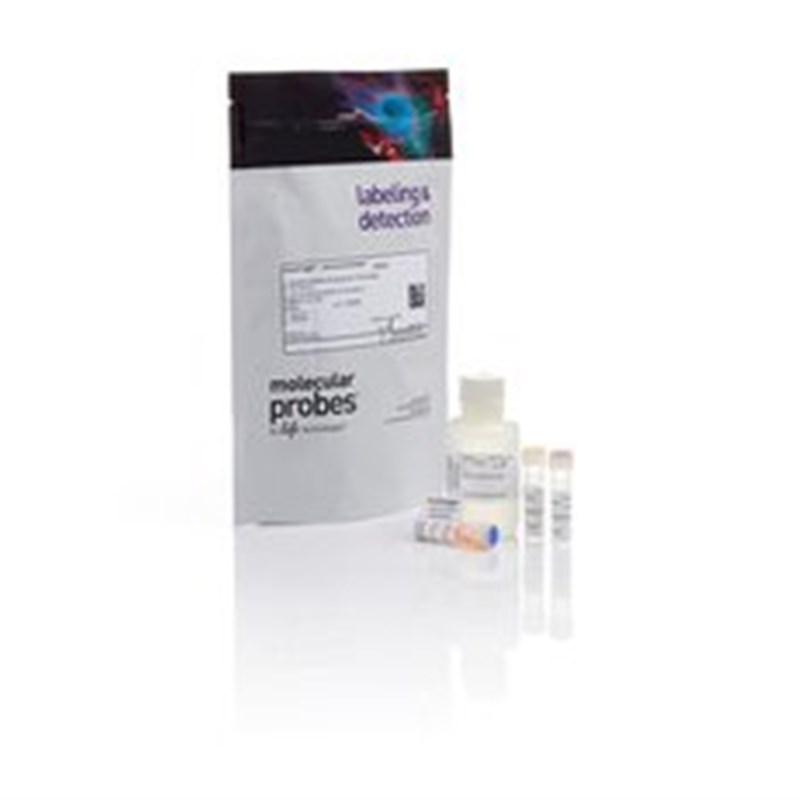 Qubit dsDNA HS Assay Kit Q32851 100 assays
