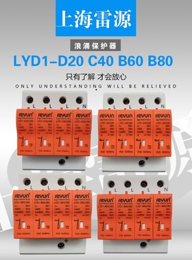 正品上海雷源 浪涌保护器LYD1-D20 2P 10-20KA 电源避雷器 防雷器