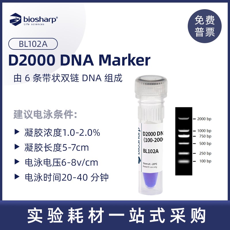 D2000 DNA ladder(100-2000bp)BL102A 50T