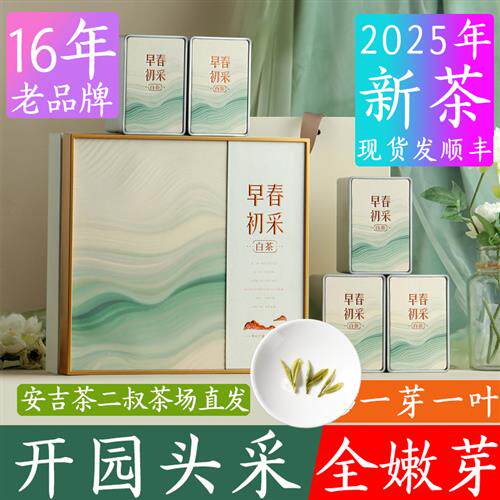 茶二叔2025年新茶250g安吉产地白茶茶叶礼盒装特级