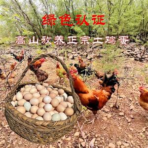 军绿生态农业土鸡蛋正宗农家散养真正土鸡蛋虫草鸡蛋老兵笨鸡蛋