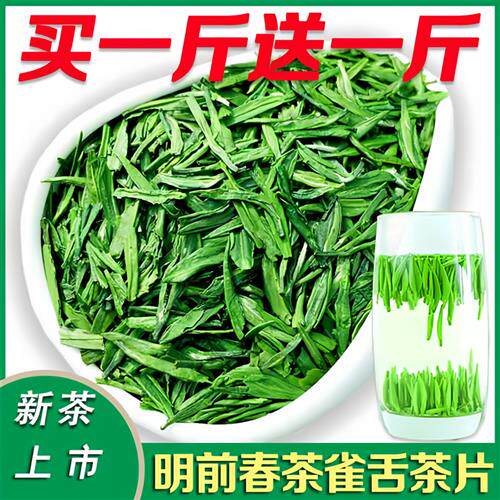 雀舌茶片2025新茶明前春茶碎茶叶贵州高山湄潭手工绿茶散装500g
