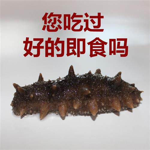 小海即食海参500g长岛自捕海生速食弹冷蒸刺参鲜食真空单个装顺丰