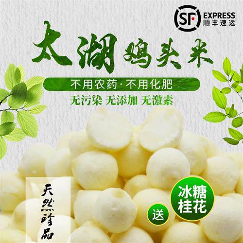 2025年鸡头米新鲜苏州特产芡实欠茨实正宗太湖苏芡冷冻当季非干货