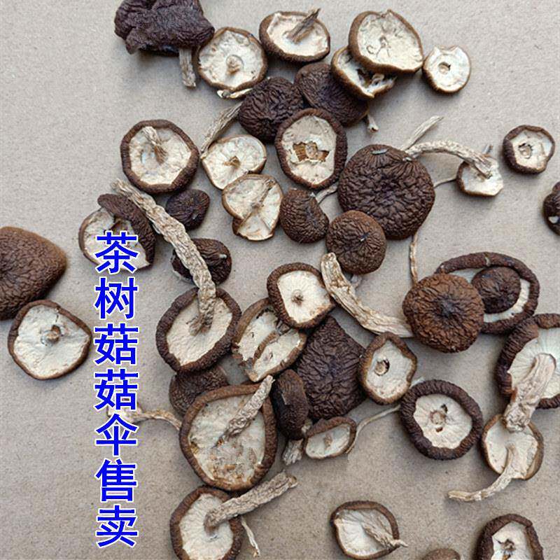 正宗广昌不开伞茶树菇菇伞菇盖农家自产茶树菇帽香嫩江西特产500g