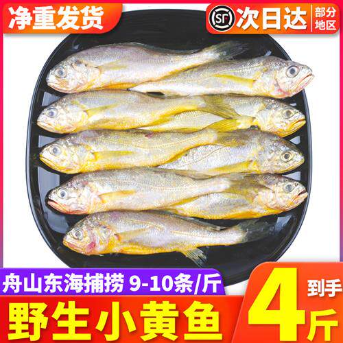 4斤舟山东海野生小黄鱼新鲜冷冻黄花鱼黄鱼冰冻鲜活海鲜水产包邮