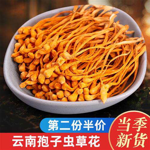 虫草花干货孢子头营养菌菇新鲜蛹虫草特产菌类菇类蘑菇煲汤料食材