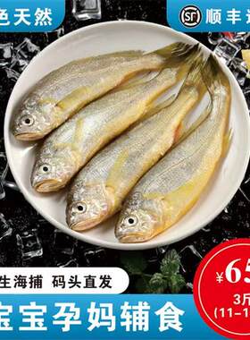 3斤舟山野生小黄花鱼新鲜海捕小黄鱼黄花鱼鲜活海鲜水产