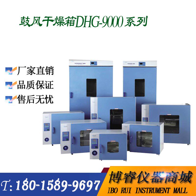 上海一恒鼓风干燥箱DHG-9240型 实验室工业电热鼓风干燥箱 烘箱