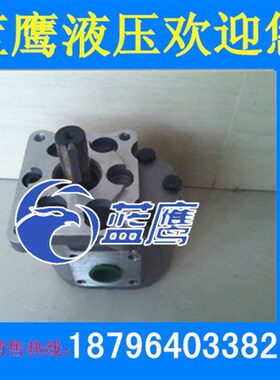 CBN/CBT-G520/G525/G528/G532/G540/G550/G563/G580高压齿轮油泵