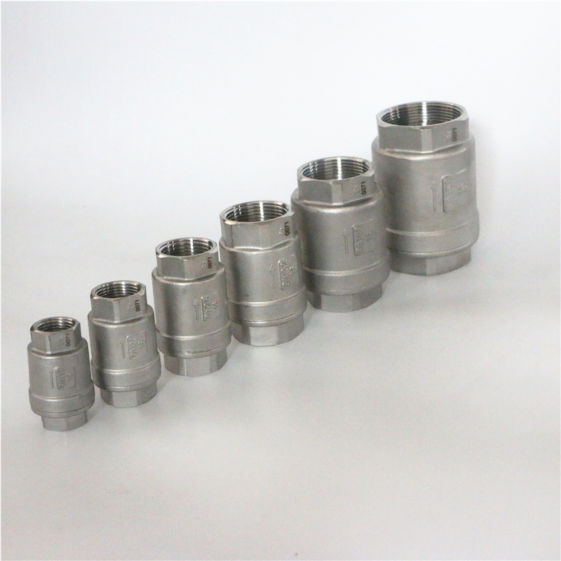 埃美柯304不锈钢止回阀立式弹簧只进不出冷热水加厚防腐单向8426