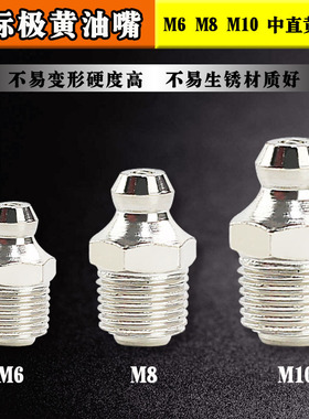 国标黄油嘴枪头嘴m6m8m10m12m14通用挖机加油嘴打黄油配件 注油咀