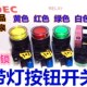 和泉YW1L AF2E10Q7G 20带灯YW IDEC正品 DE按钮开关11Q7RGY 01绿色