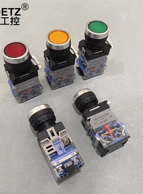 ZHDETZ正得LA38-11DNZS带灯平头带灯带锁带灯自复按钮自锁22厘