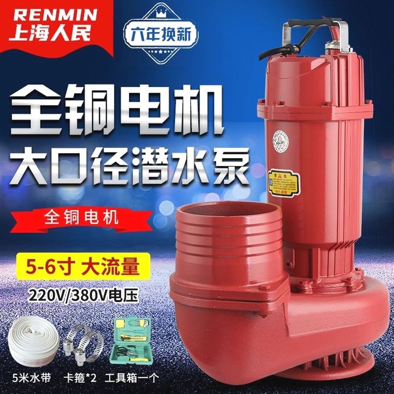 德国进口上海人民潜水泵5寸6寸220V清水泵农用灌溉家用大流量高扬