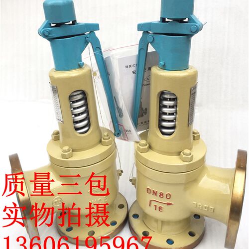 铸钢法兰安全阀A48H-16C手柄弹簧蒸汽锅炉安全阀天正品牌DN15-200