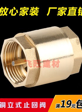 4分6分1寸全铜立式水管水表止回阀DN15 20单向阀止逆阀水泵阀底阀