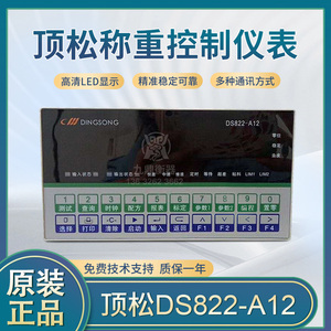 顶松DS822-A/A9/A8多功能称重控制仪表