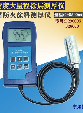 东如DR6000 DR9000S大量程涂层测厚仪防腐油漆防火涂料沥青膜厚仪