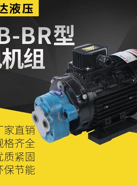 液压CB-B4/6/10/16锯床齿轮油泵电机组CBR-2.5JZ 0.37/0.55KW润滑