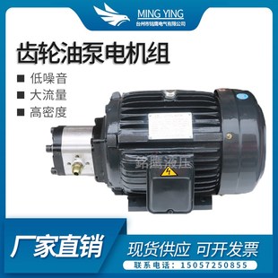 1.5KW CBN304 CBN310 0.75kw 齿轮泵电机组液压站配件CBN液压油泵