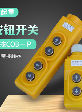 包邮COB防雨型起重机用直控按钮开关微型电动葫芦21P/22P力特电器