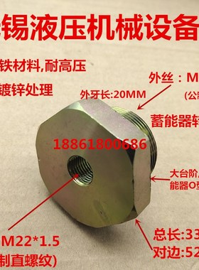 蓄能器接头NXQ-L进口M42*2变M22*1.5内丝口液压高压储能器2242