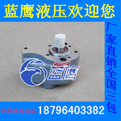 CB-B2.5/B4/B6/B10/B16/B20/B25/B32高温沥青泵胶水泵耐磨齿轮泵