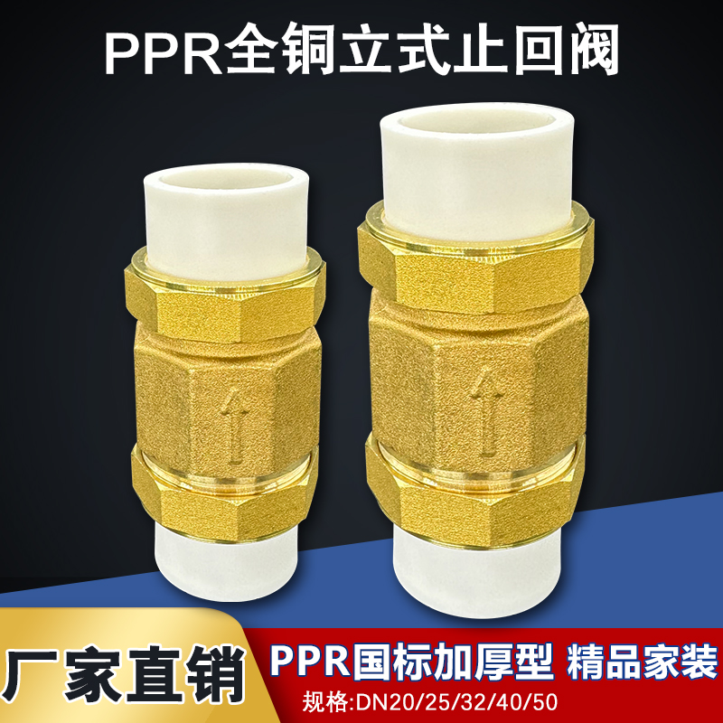 双热熔活接单向立式逆止PPR黄铜止回阀自来水管4分6分1寸20 25 32