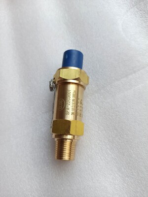 中央空调制冷安全阀SPA-22C300T SFA-22C300T14/T1/T8冷凝蒸发器