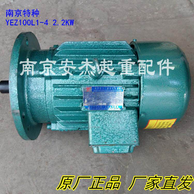 南京特种电机 YEZ100L1-4/2.2KW  3.0KW 锥形转子三相异步电动机