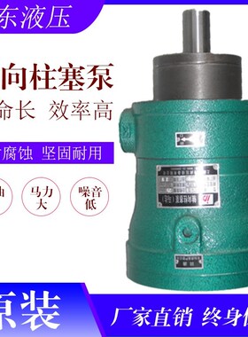 启东高压2.5 5 10 25 63 80 160 250MCY14-1B轴向柱塞泵液压