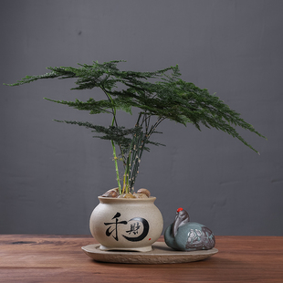 创意陶瓷个性文竹专用花盆带托盘室内微景观盆栽桌面茶几装饰摆件