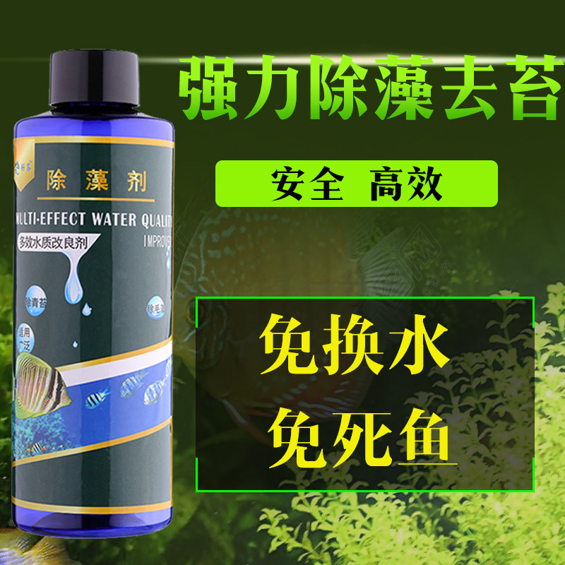 蓝澡速灭鱼缸鱼池除藻剂除除绿水不伤鱼除青苔清洁清水剂黑毛褐藻