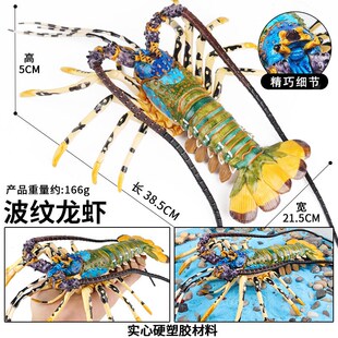 仿真大号实心波纹龙虾澳洲波士顿龙虾儿童认知海洋动物模型摆件