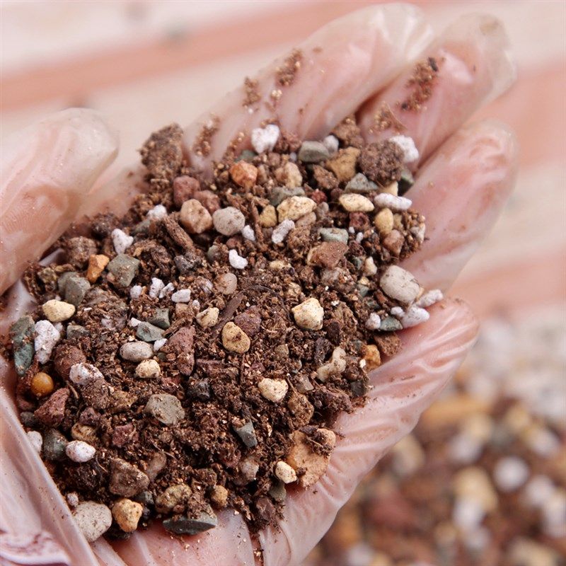 多肉土12合一多肉直接种植颗粒土多肉栽培基质兰花土兰花栽培基质