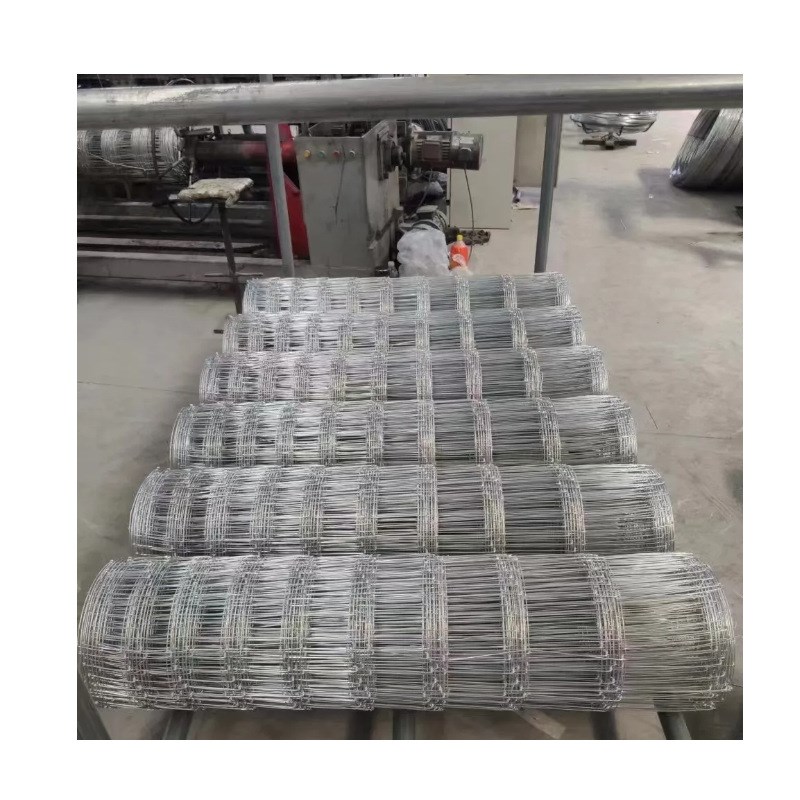 养鸡养羊围栏网  安全防护镀锌钢丝网铁丝网  养殖牛羊草原围网