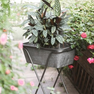 美式 绿萝交叉型花架庭院阳台落地花盆 田园铁皮花盆园艺工具