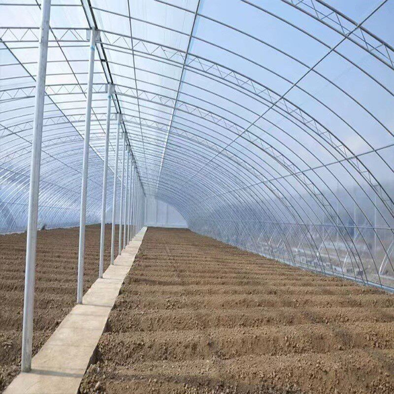 农业养殖种植大棚 镀锌钢管温室大棚建设 双膜骨架温室大棚