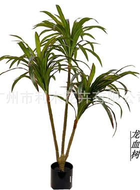 仿真彩物装饰七铁龙橱血树假盆栽服装店植绿植窗假树植DEW物造景