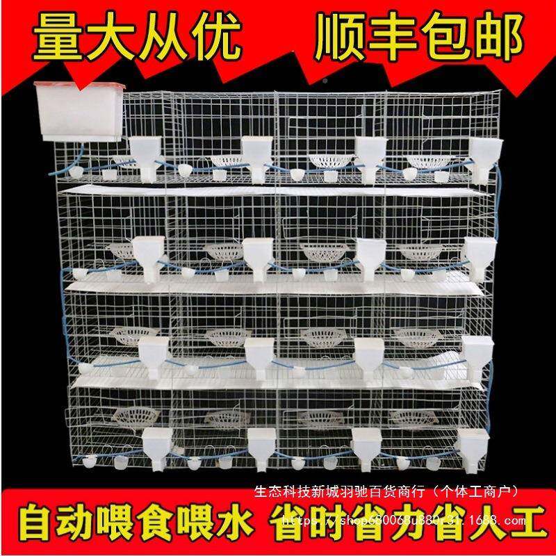 包邮用鸽子笼家用用12位养殖专信繁鸽配对肉鸽殖无品牌/鸽笼养殖